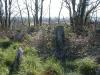 Bradfield plot Murragh Cemetary 2_thumb.jpg 3.1K